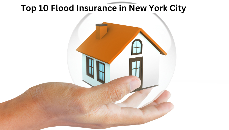 Top 10 Flood Insurance In Los Angeles