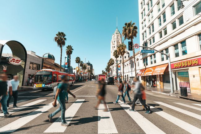 Best Tour Operators in Los Angeles for an Unforgettable Experience
