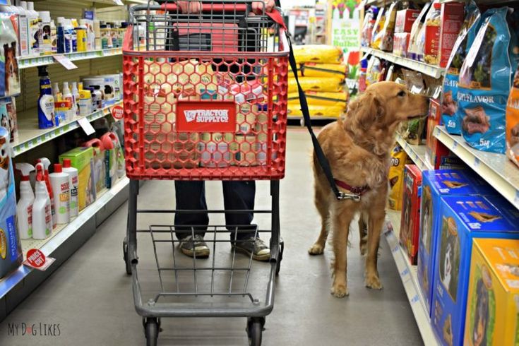 Highly Rated Pet Stores in Dallas