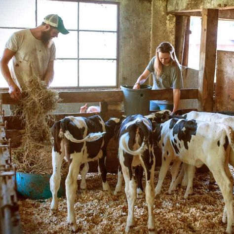 TOP 10 Livestock in San Diego City