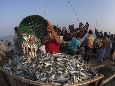 Top 10 Fisheries in Dallas