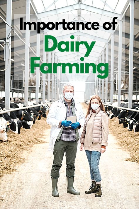 Top 10 Dairy Farming in Los Angeles