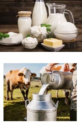 Top 10 Dairy Farming in Phoenix