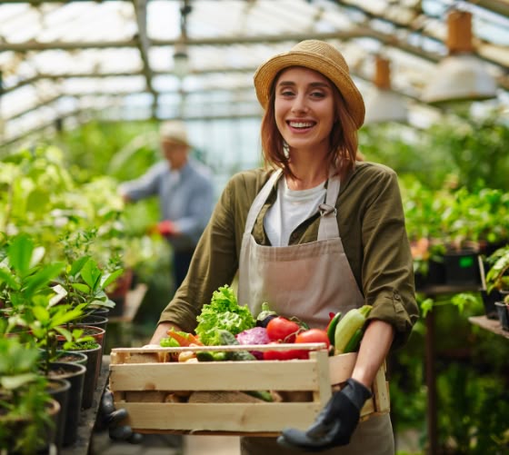 TOP 10 Organic Farming in Phoenix