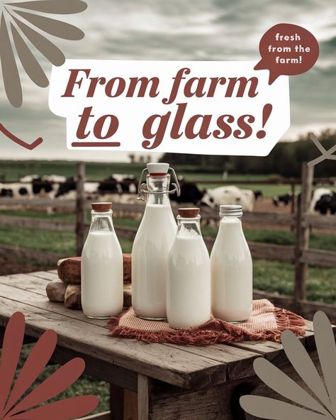 Top 10 Dairy Farming in Philadelphia