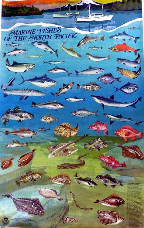 Top 10 Fisheries in Columbus