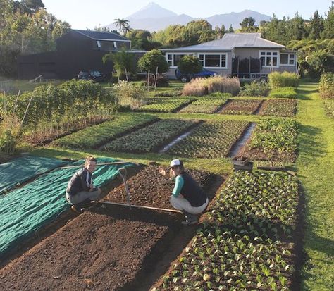Best 10 Organic Farming in Austin