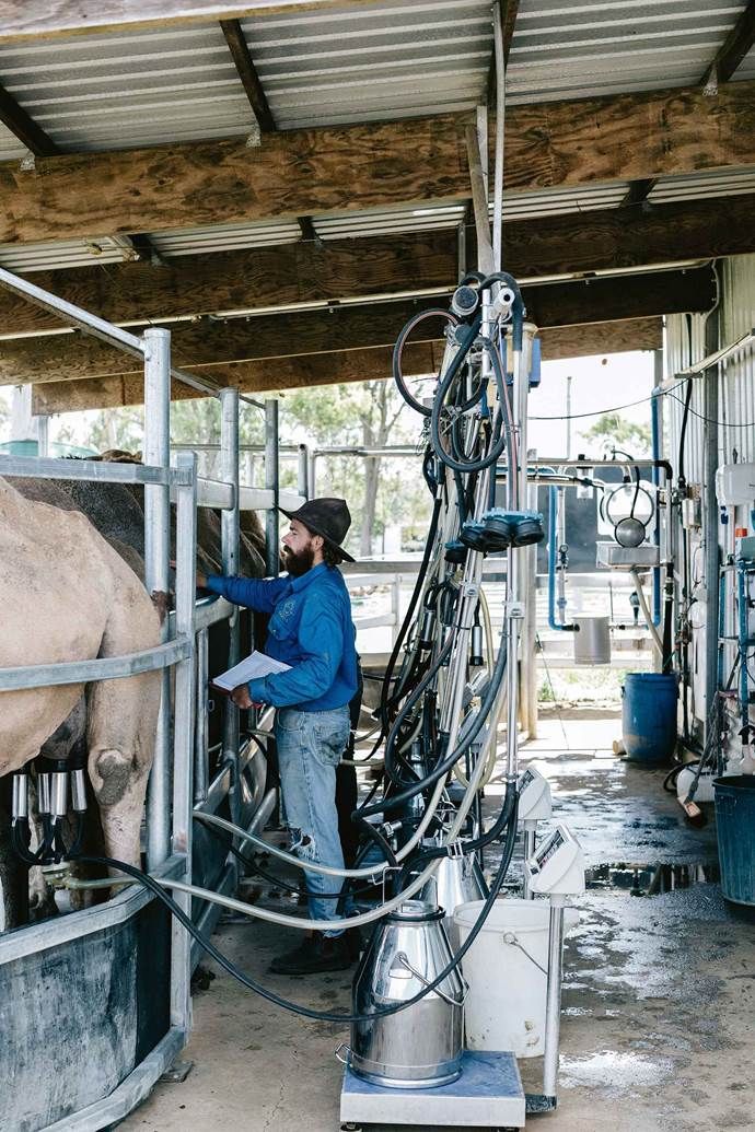 Top 10 Dairy Farming in Austin