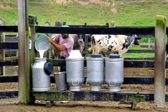 Top 10 Dairy Farming in Washington