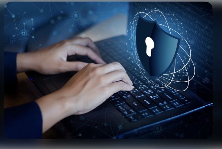 Highly Rated Web Development Service in Miami